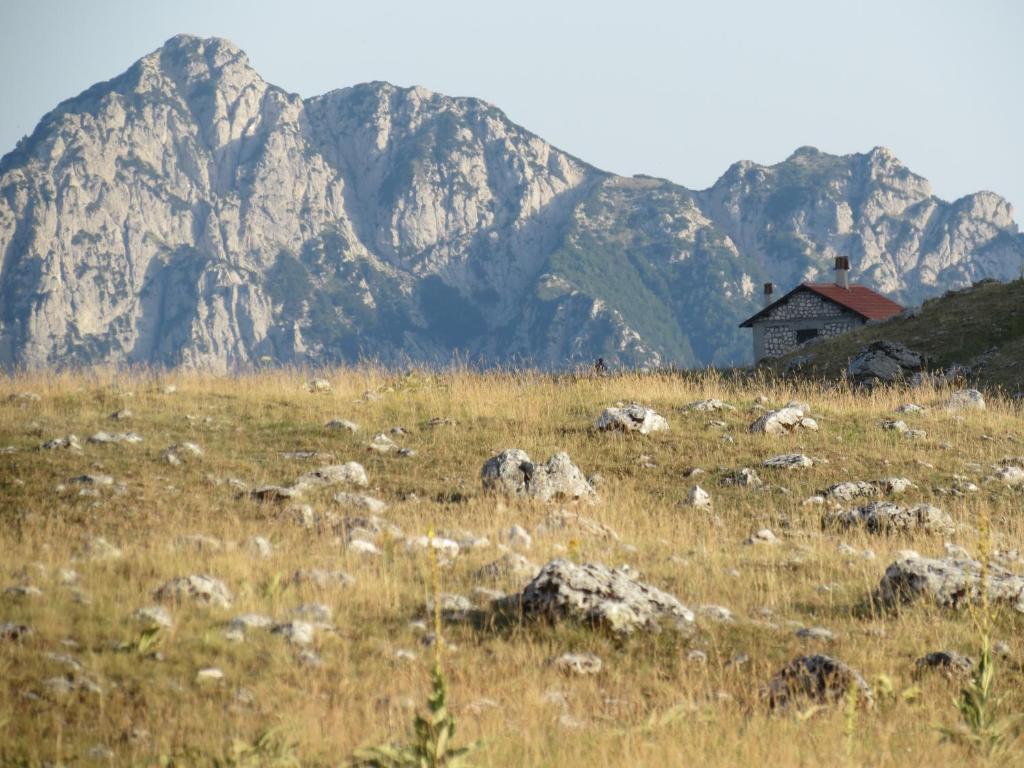 Вилла Bio Agriturismo Valle Scannese Сканно Экстерьер фото